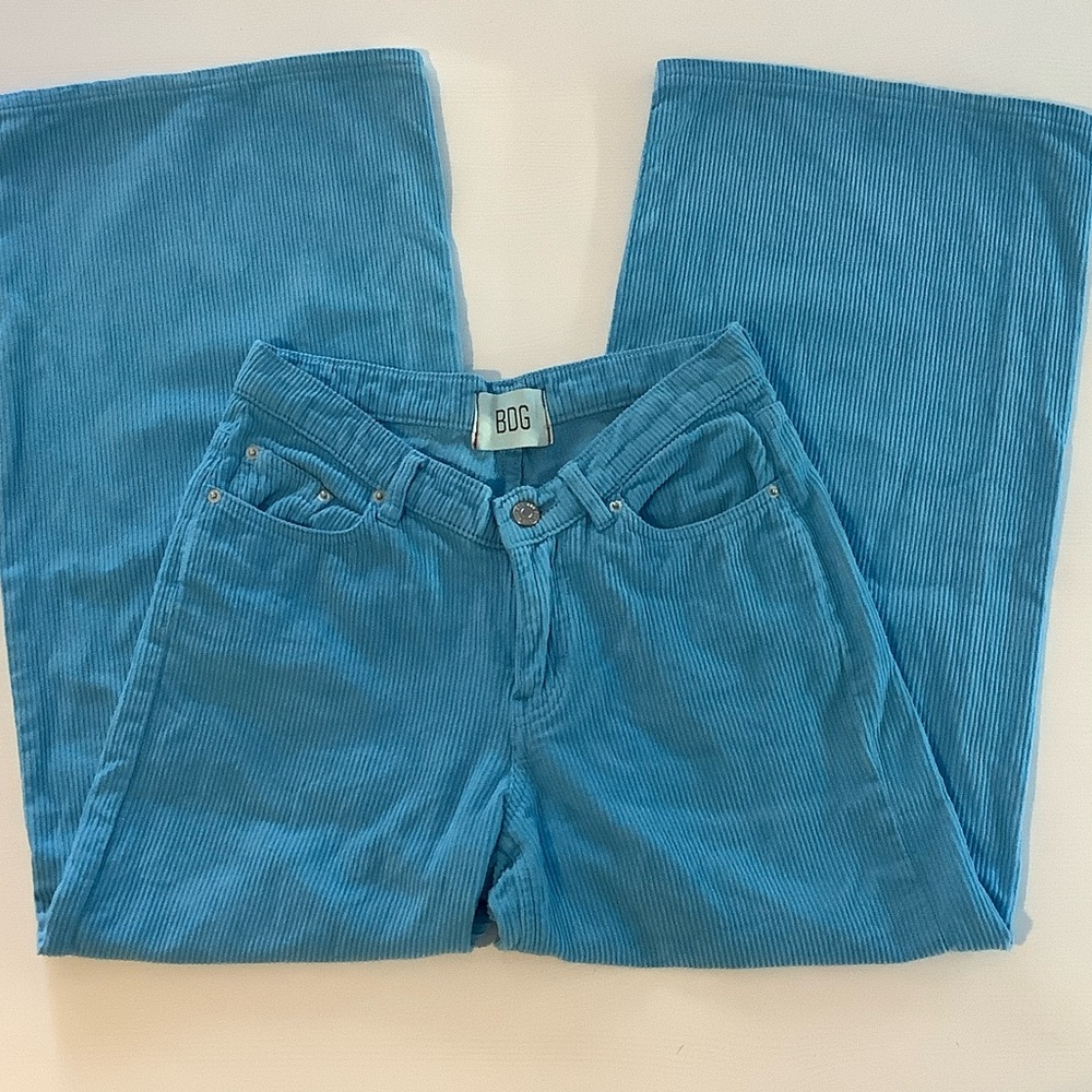 BDG Low Rise V Front Wide Leg Corduroy Pants